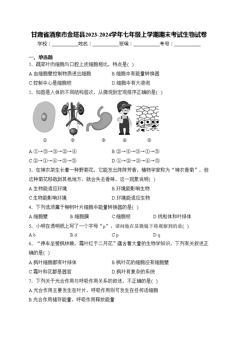 甘肃省酒泉市金塔县2023-2024学年七年级上学期期末考试生物试卷(含答案)01