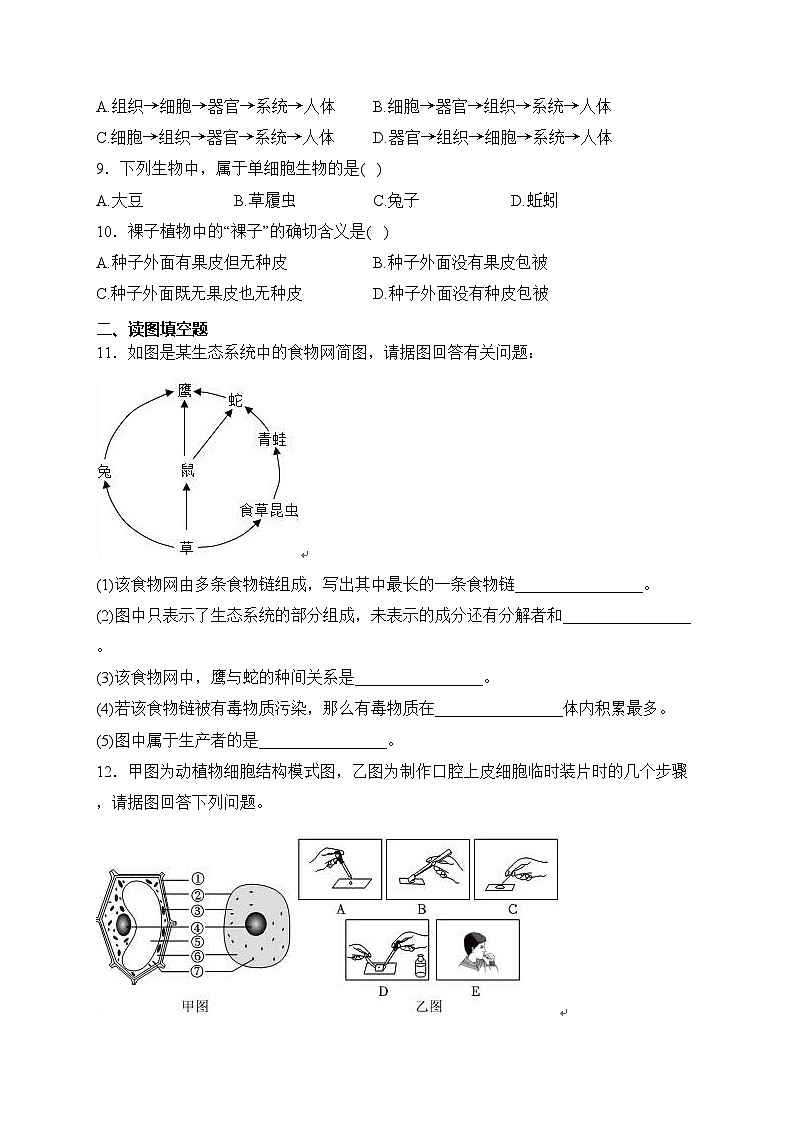 甘肃省天水市麦积区部分校联考2023-2024学年七年级上学期第二次月考生物试卷(含答案)02