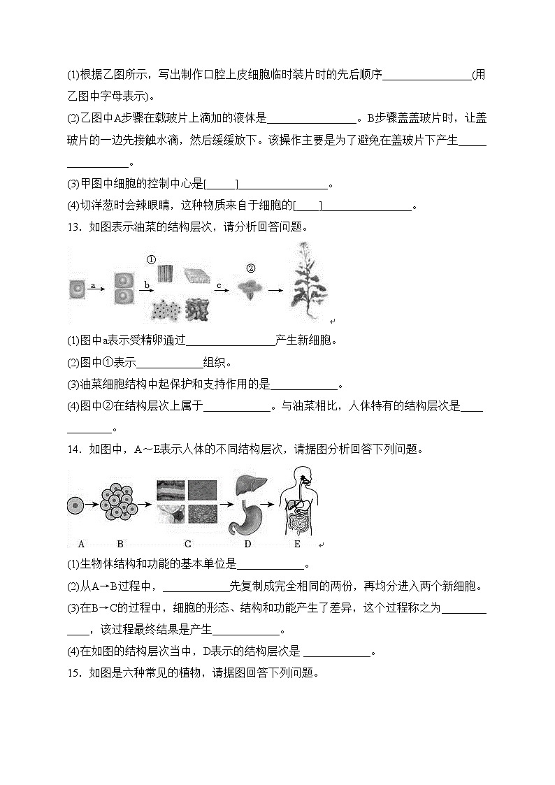 甘肃省天水市麦积区部分校联考2023-2024学年七年级上学期第二次月考生物试卷(含答案)03