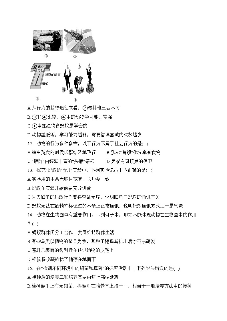 广东省茂名市信宜市2023-2024学年八年级上学期12月月考生物试卷(含答案)第3页