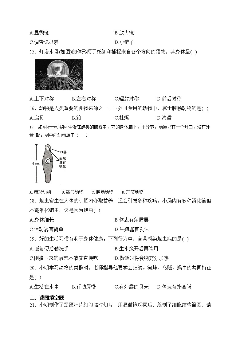 河北省邯郸市广平县2023-2024学年七年级上学期第三次月考生物试卷(含答案)第3页