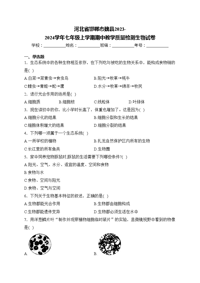 河北省邯郸市魏县2023-2024学年七年级上学期期中教学质量检测生物试卷(含答案)01