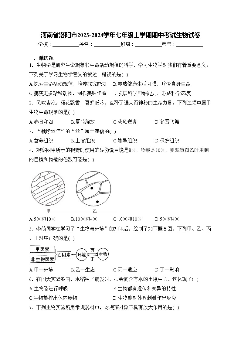 河南省洛阳市2023-2024学年七年级上学期期中考试生物试卷(含答案)01