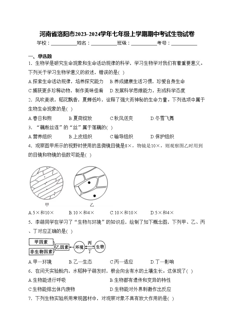 河南省洛阳市2023-2024学年七年级上学期期中考试生物试卷(含答案)01