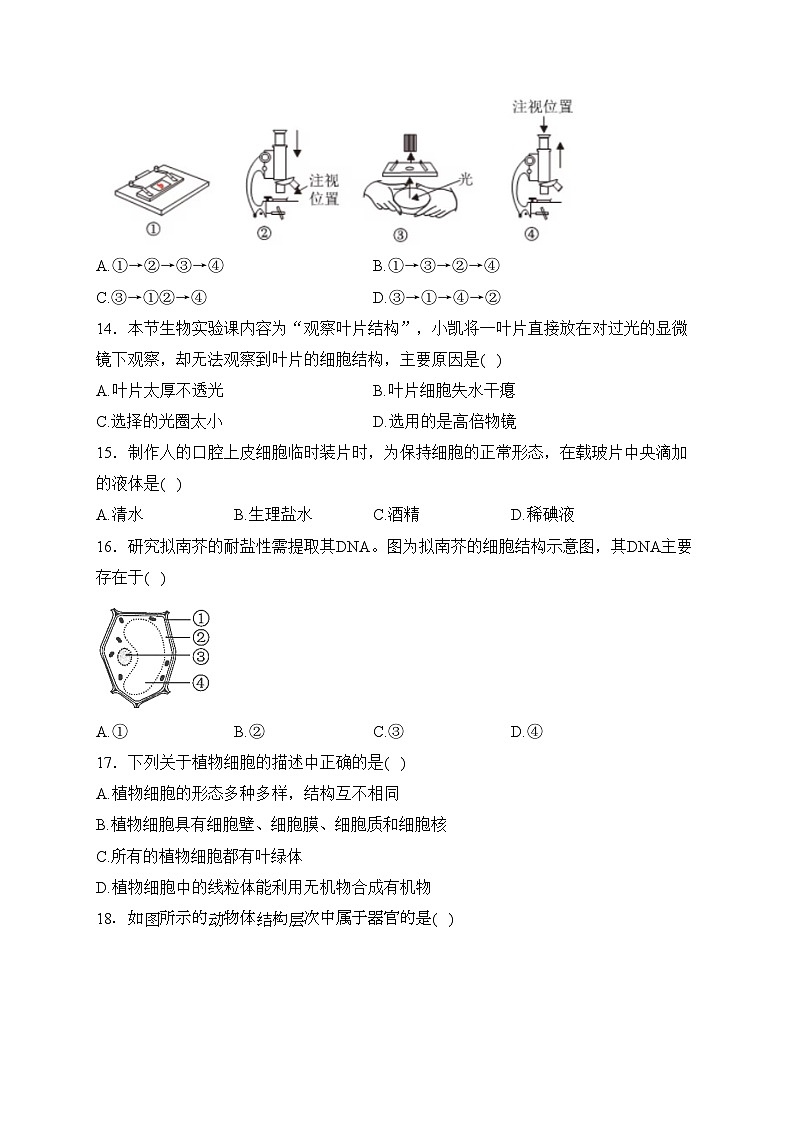 河南省洛阳市2023-2024学年七年级上学期期中考试生物试卷(含答案)03