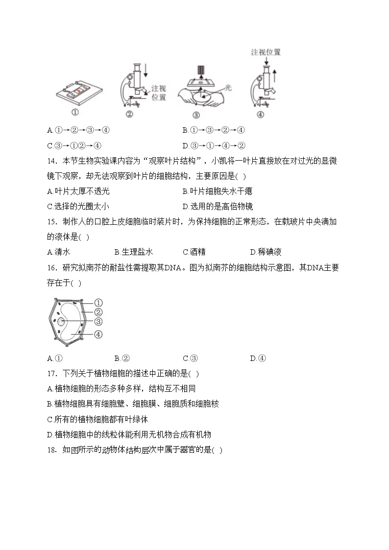 河南省洛阳市2023-2024学年七年级上学期期中考试生物试卷(含答案)03