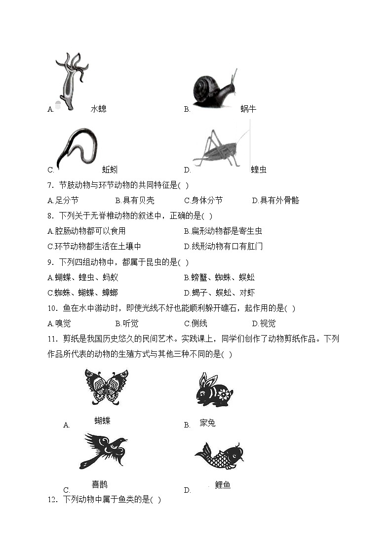 河南省洛阳市东升第二初级中学2023-2024学年八年级上学期期中考试生物试卷(含答案)第2页