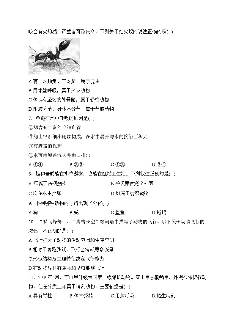 河南省南阳市邓州市2023-2024学年八年级上学期期中质量评估生物试卷(含答案)02