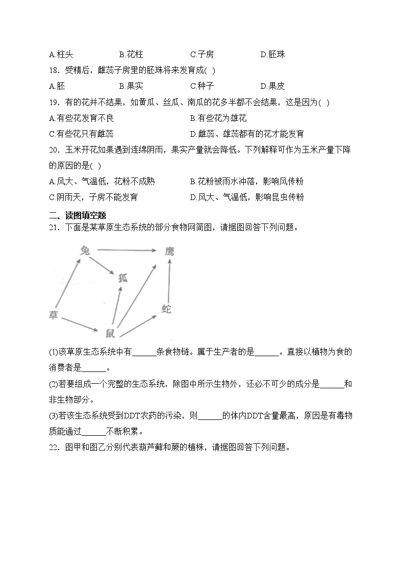 河南省南阳市宛城区五校联考2023-2024学年七年级上学期12月月考生物试卷(含答案)第3页