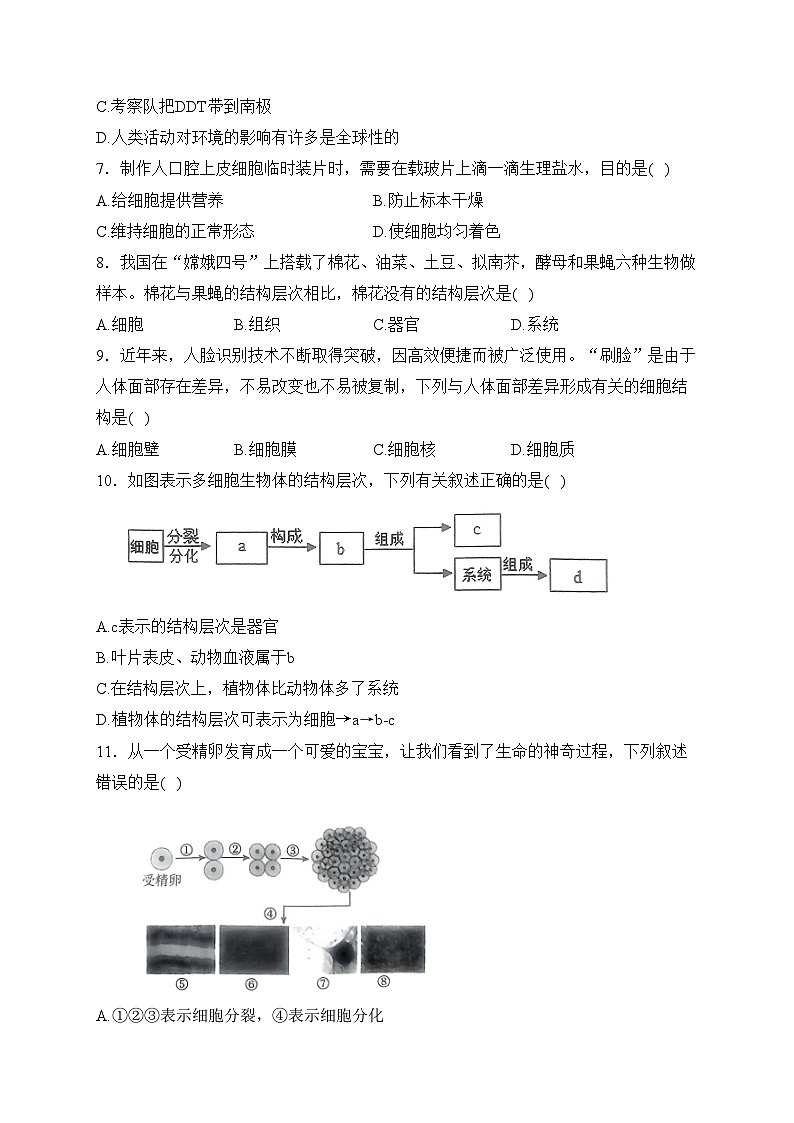河南省南阳市新野县三校2023-2024学年七年级上学期期中测试生物试卷(含答案)02
