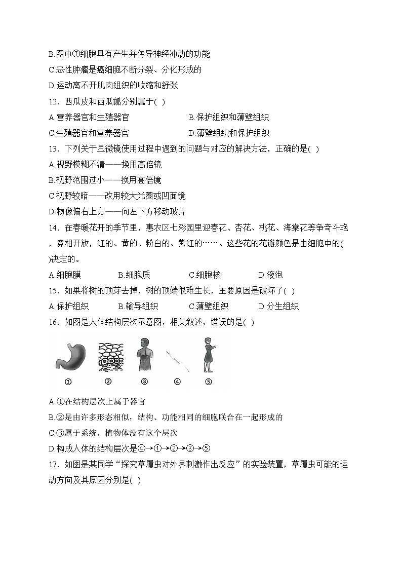 河南省南阳市新野县三校2023-2024学年七年级上学期期中测试生物试卷(含答案)03