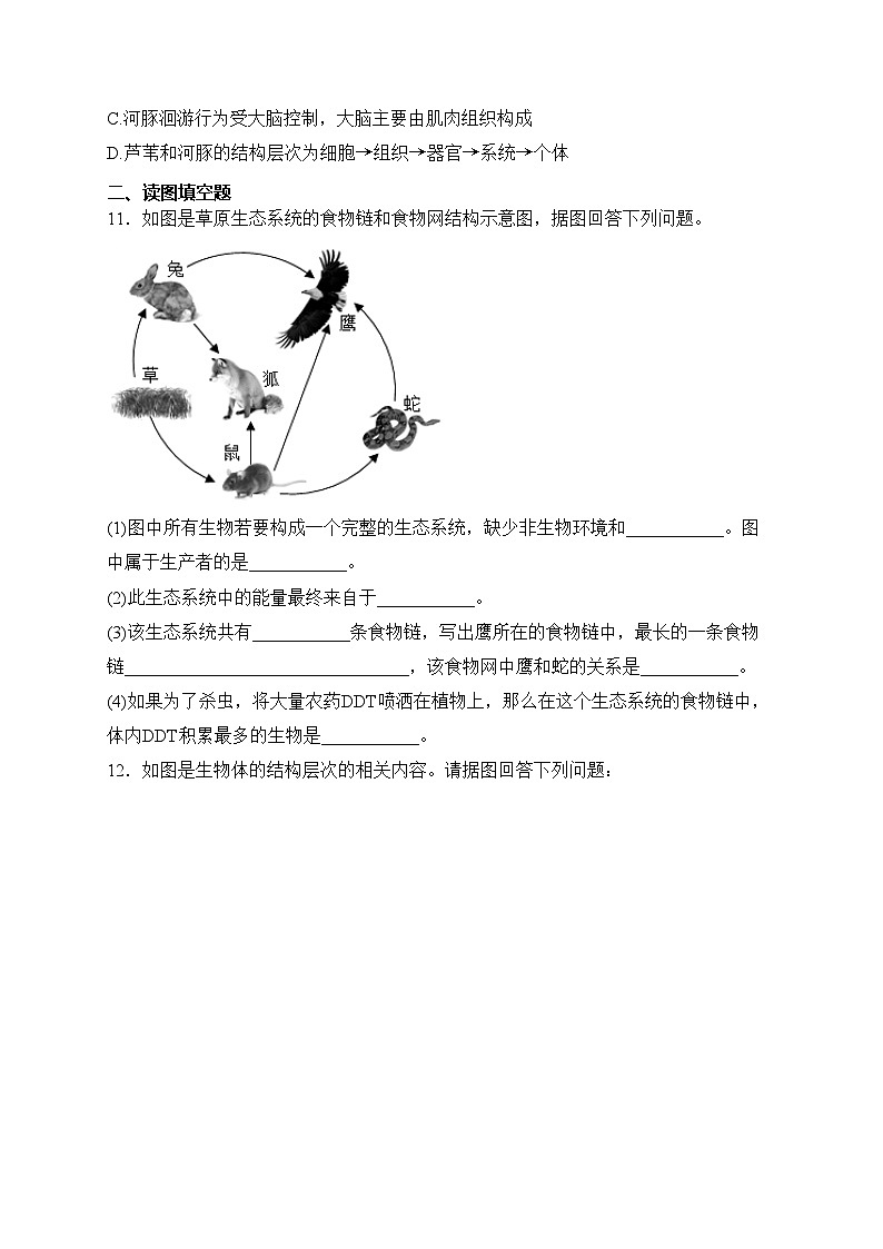 湖北省孝感市应城市2023-2024学年七年级上学期期中考试生物试卷(含答案)03