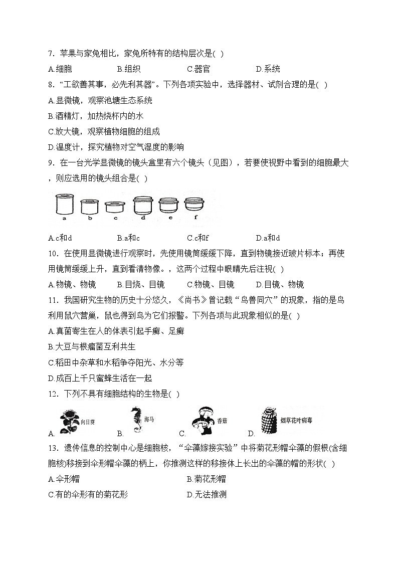 湖南省常德市澧县2023-2024学年七年级上学期期中考试生物试卷(含答案)02