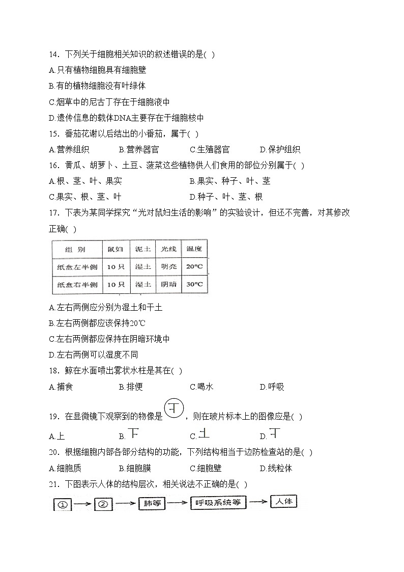 湖南省常德市澧县2023-2024学年七年级上学期期中考试生物试卷(含答案)03