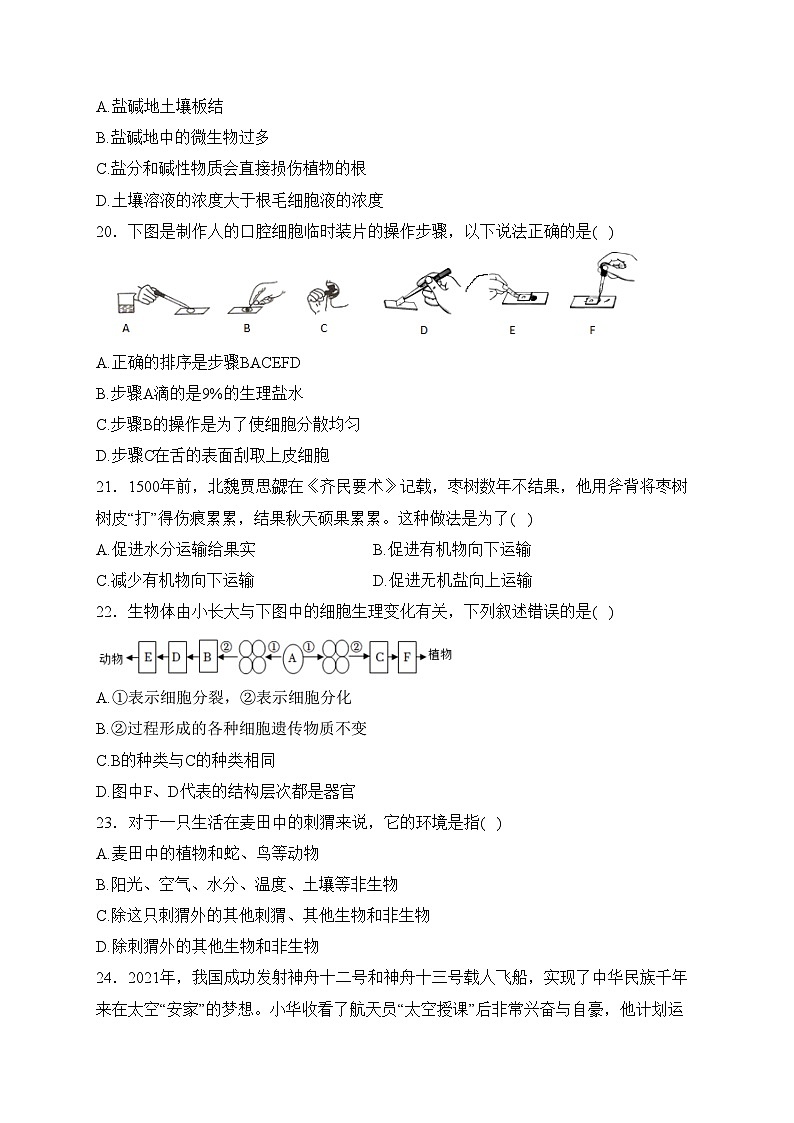 湖南省永州市道县2023-2024学年七年级上学期减负提质示范班12月份质量监测生物试卷(含答案)第3页