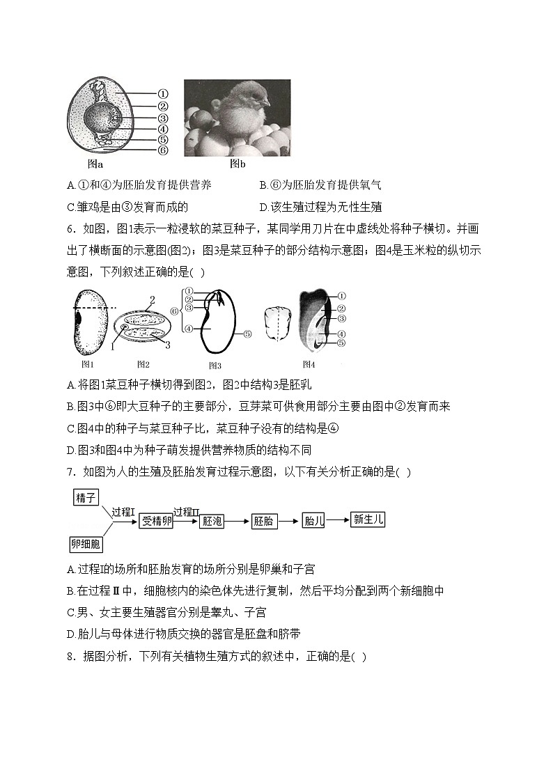 江苏省徐州市丰县七校2023-2024学年八年级上学期12月月考生物试卷第2页