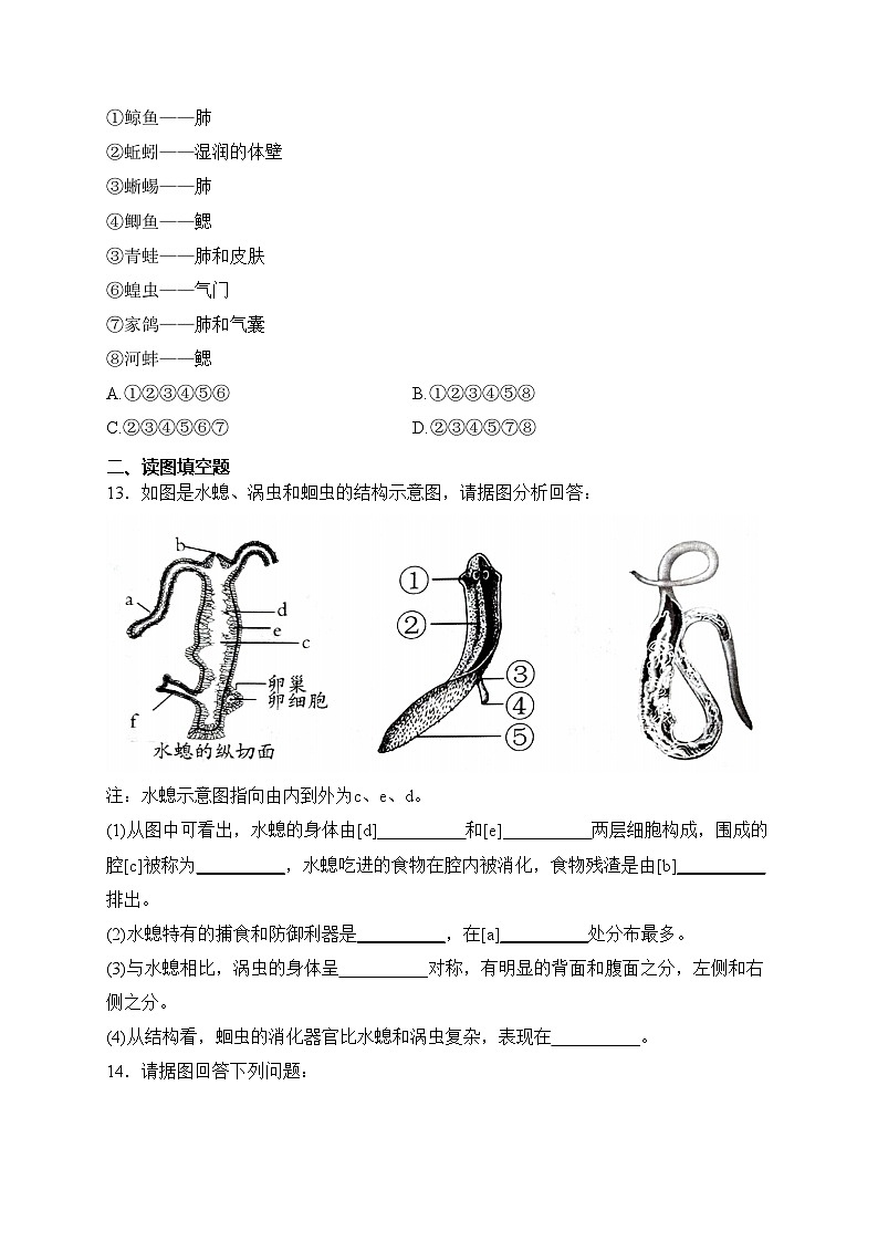 辽宁省葫芦岛市连山区2023-2024学年八年级上学期第一次月考生物试卷(含答案)03