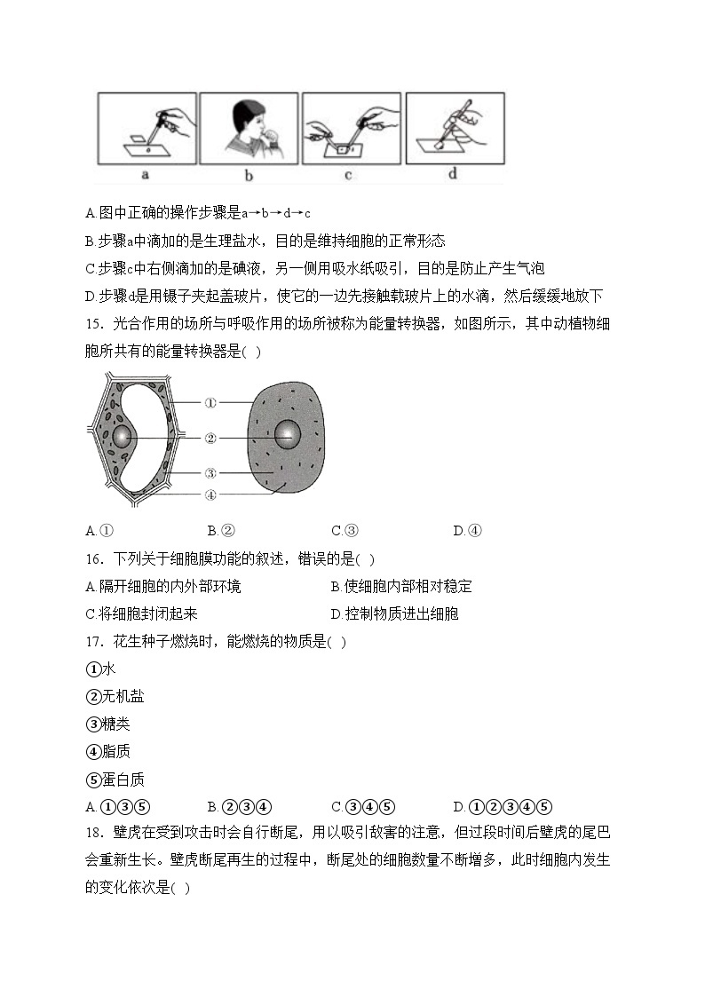 内蒙古自治区乌兰察布市部分学校2023-2024学年七年级上学期期中生物试卷(含答案)03