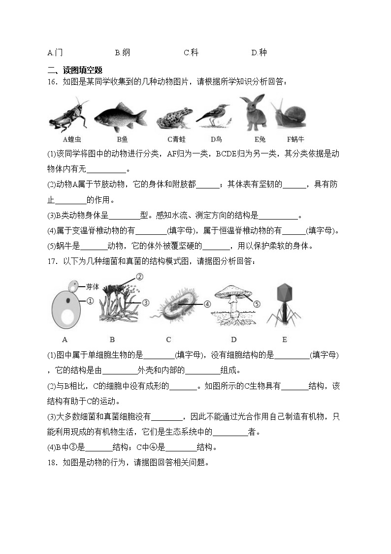 青海省西宁市海湖中学2023-2024学年八年级上学期第二次阶段考试生物试卷(含答案)03