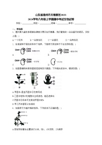 山东省德州市天衢新区2023-2024学年八年级上学期期中考试生物试卷(含答案)