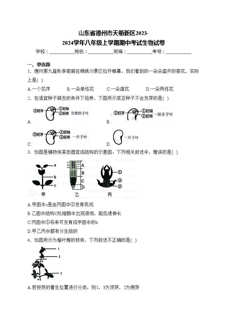 山东省德州市天衢新区2023-2024学年八年级上学期期中考试生物试卷(含答案)01