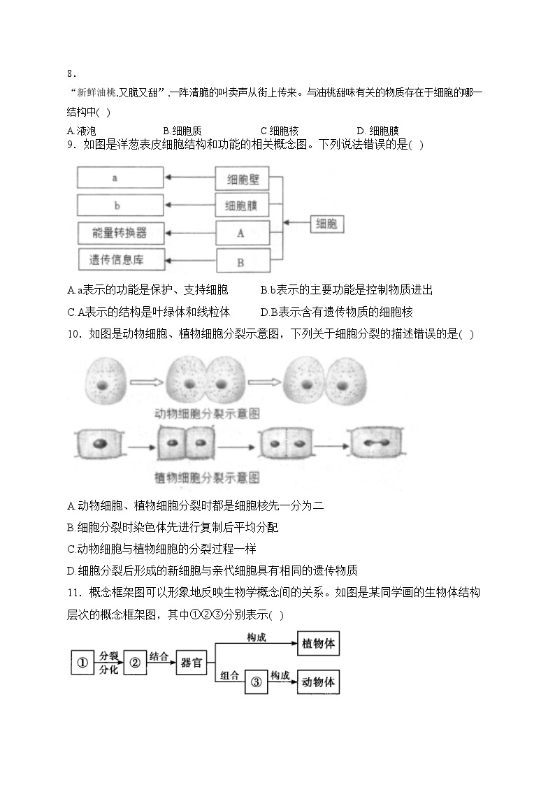 山东省菏泽市单县2023-2024学年七年级上学期期中考试生物试卷(含答案)03