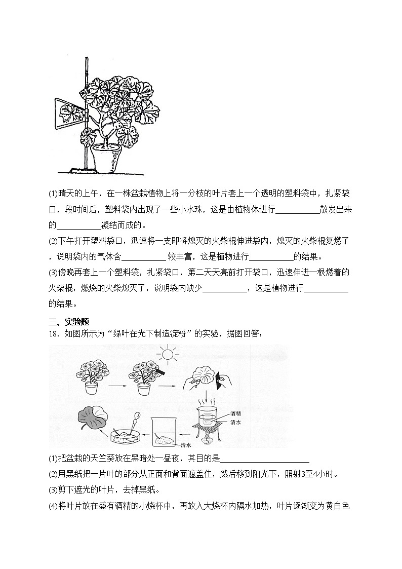 山西省大同市平城区两校联考2023-2024学年七年级上学期12月月考生物试卷(含答案)第3页