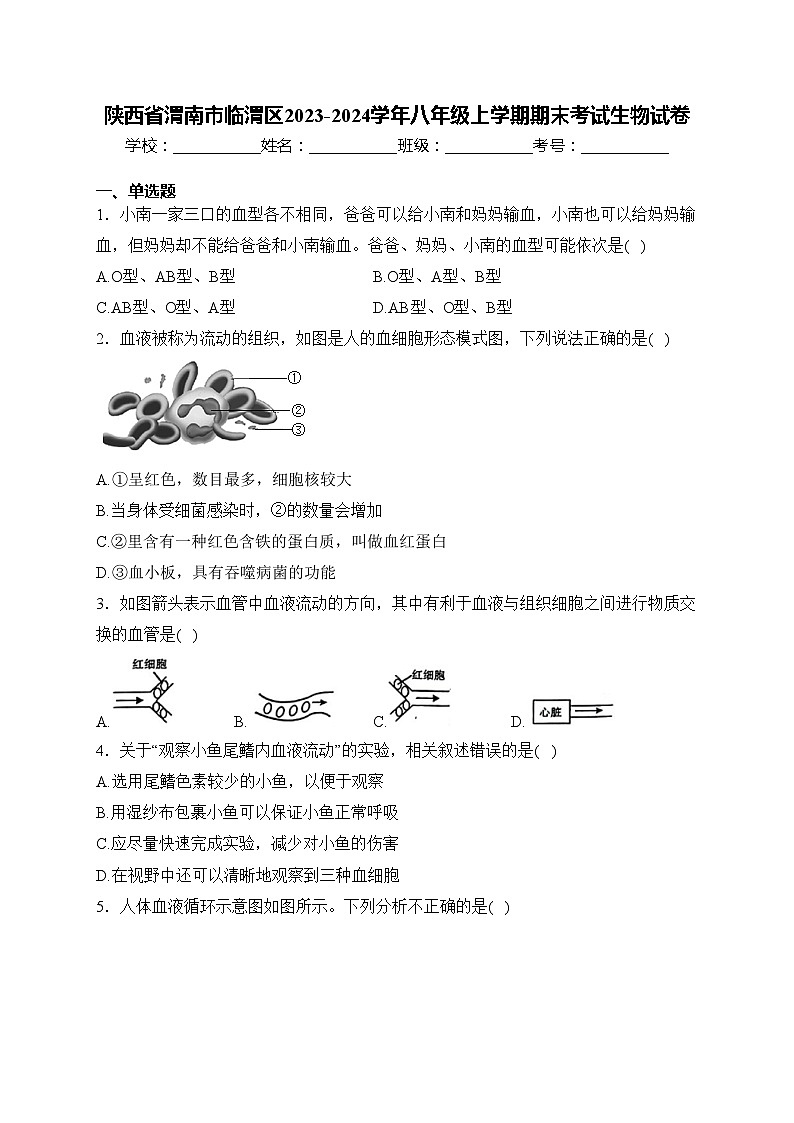 陕西省渭南市临渭区2023-2024学年八年级上学期期末考试生物试卷(含答案)第1页