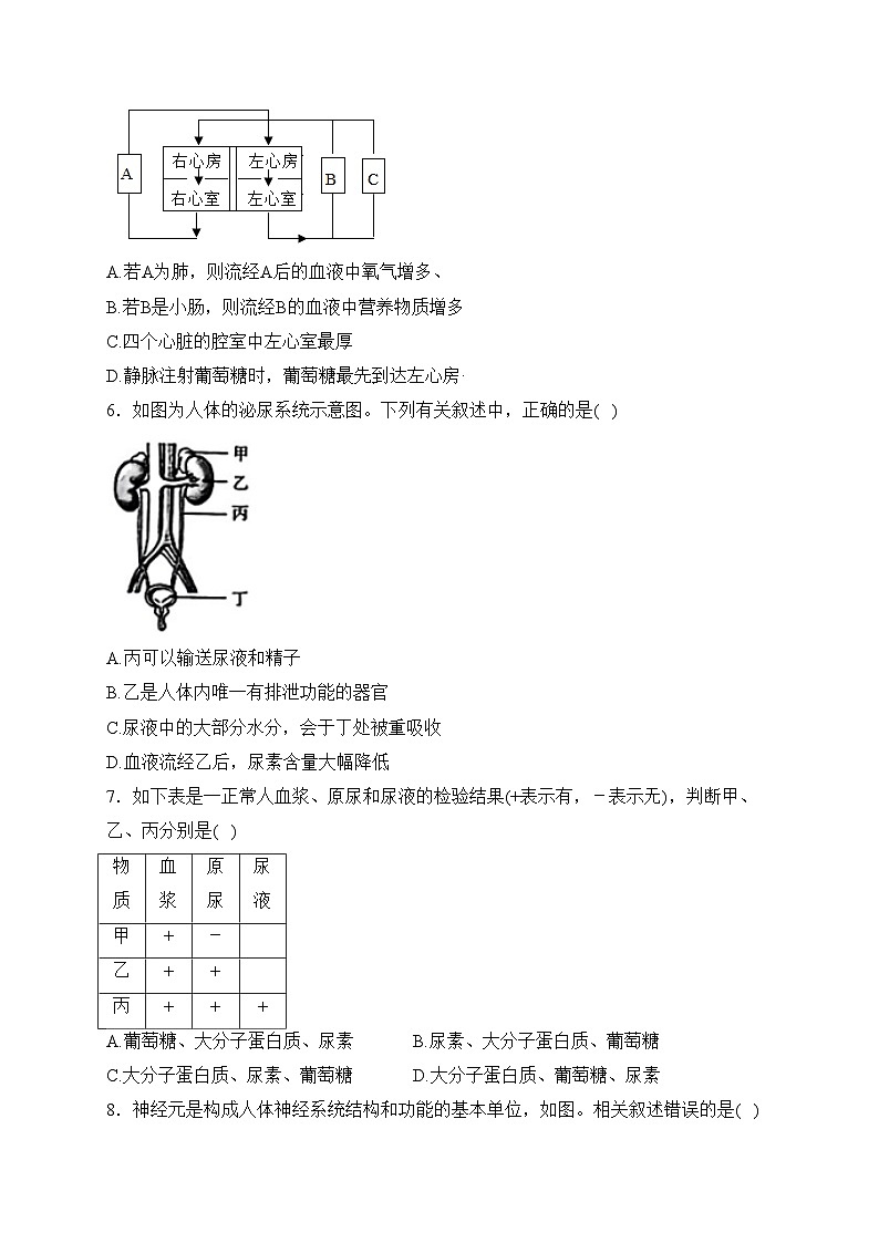 陕西省渭南市临渭区2023-2024学年八年级上学期期末考试生物试卷(含答案)第2页