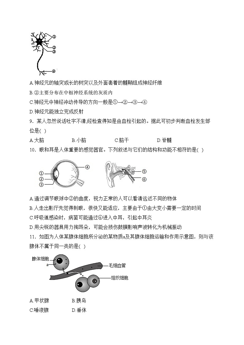 陕西省渭南市临渭区2023-2024学年八年级上学期期末考试生物试卷(含答案)第3页