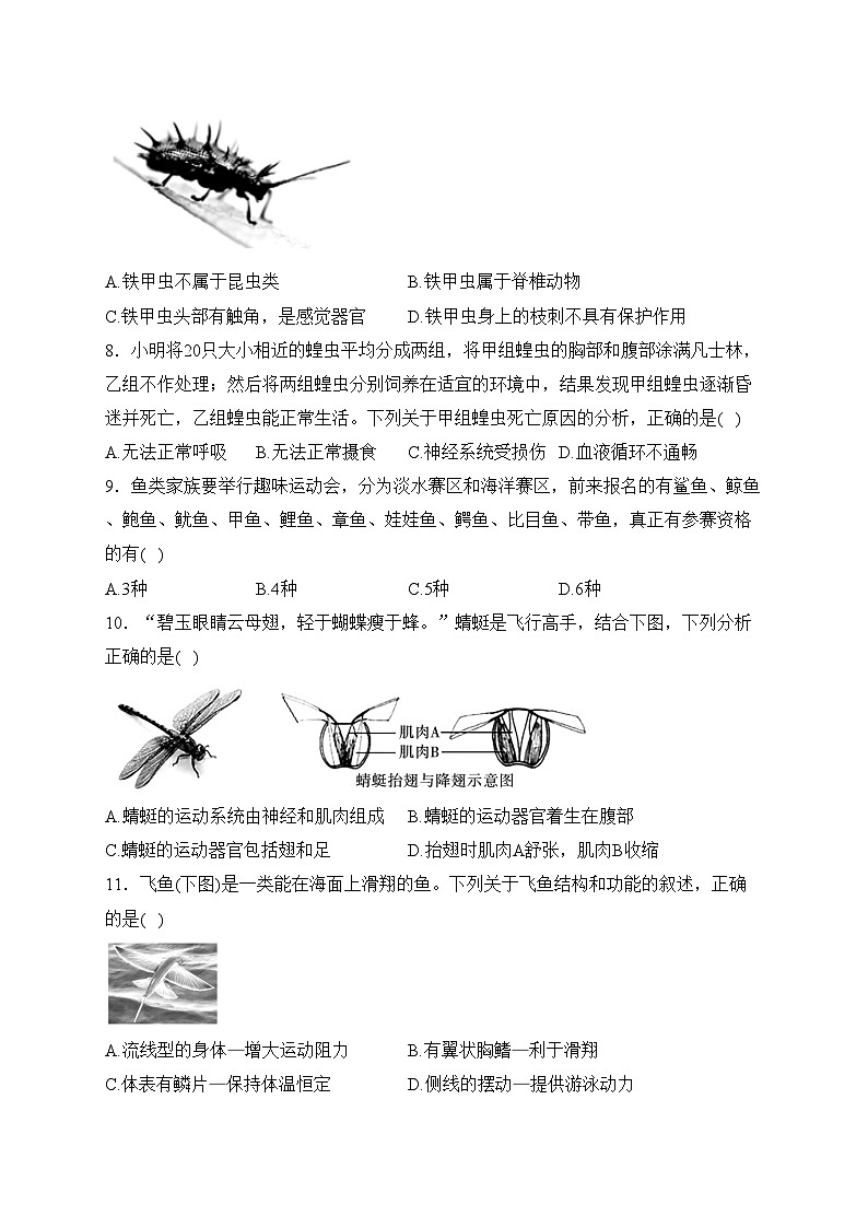 咸阳市实验中学2023-2024学年八年级上学期阶段性检测（一）生物试卷(含答案)第3页