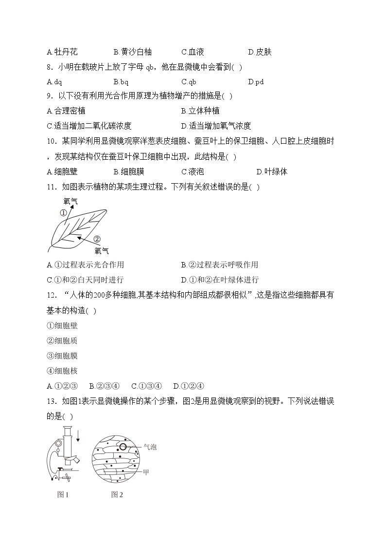 重庆市垫江实验中学校2023-2024学年七年级上学期期中生物试卷(含答案)02