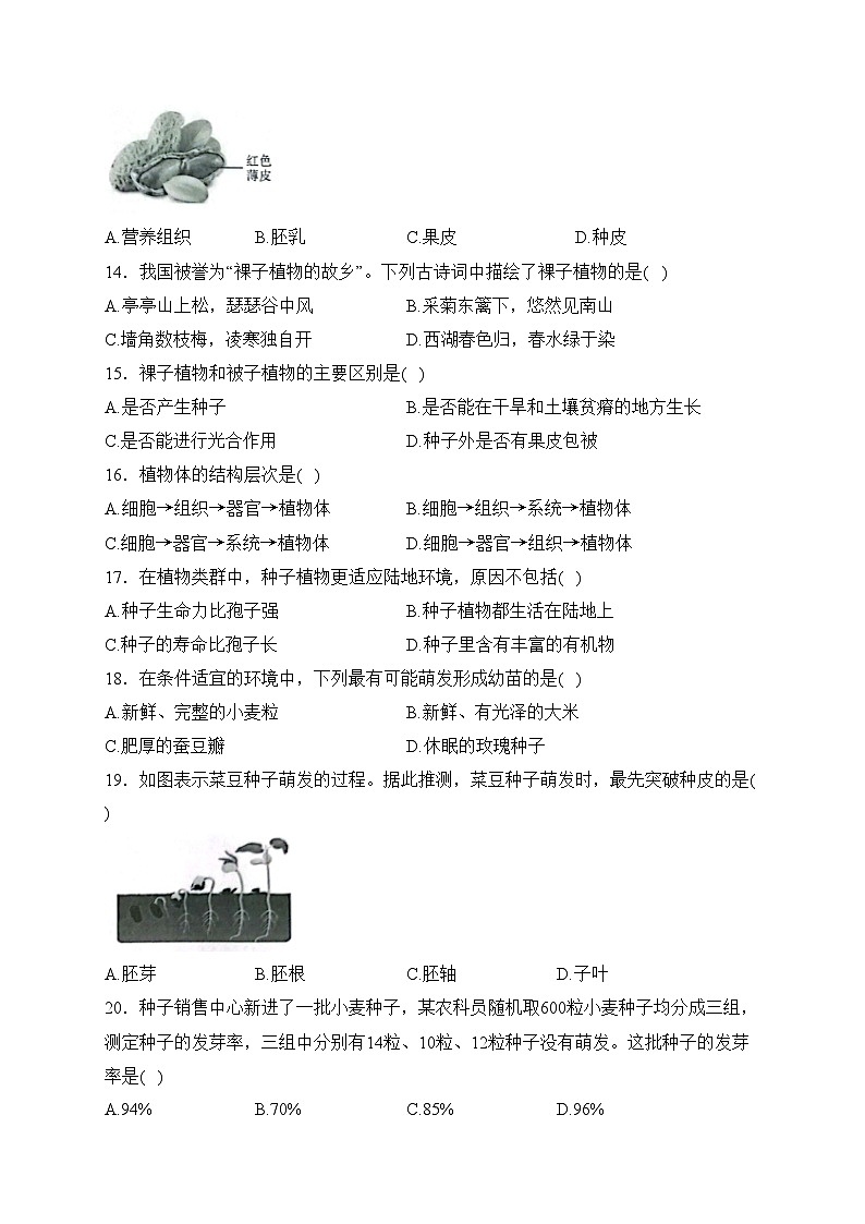 陕西省延安市富县部分学校2023-2024学年七年级上学期第三阶段创新作业生物试卷(含答案)第3页