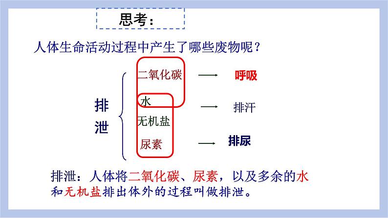 【核心素养】人教版初中生物七年级下册4.5《人体内废物的排出》课件＋课时练习＋教案（含教学反思）06