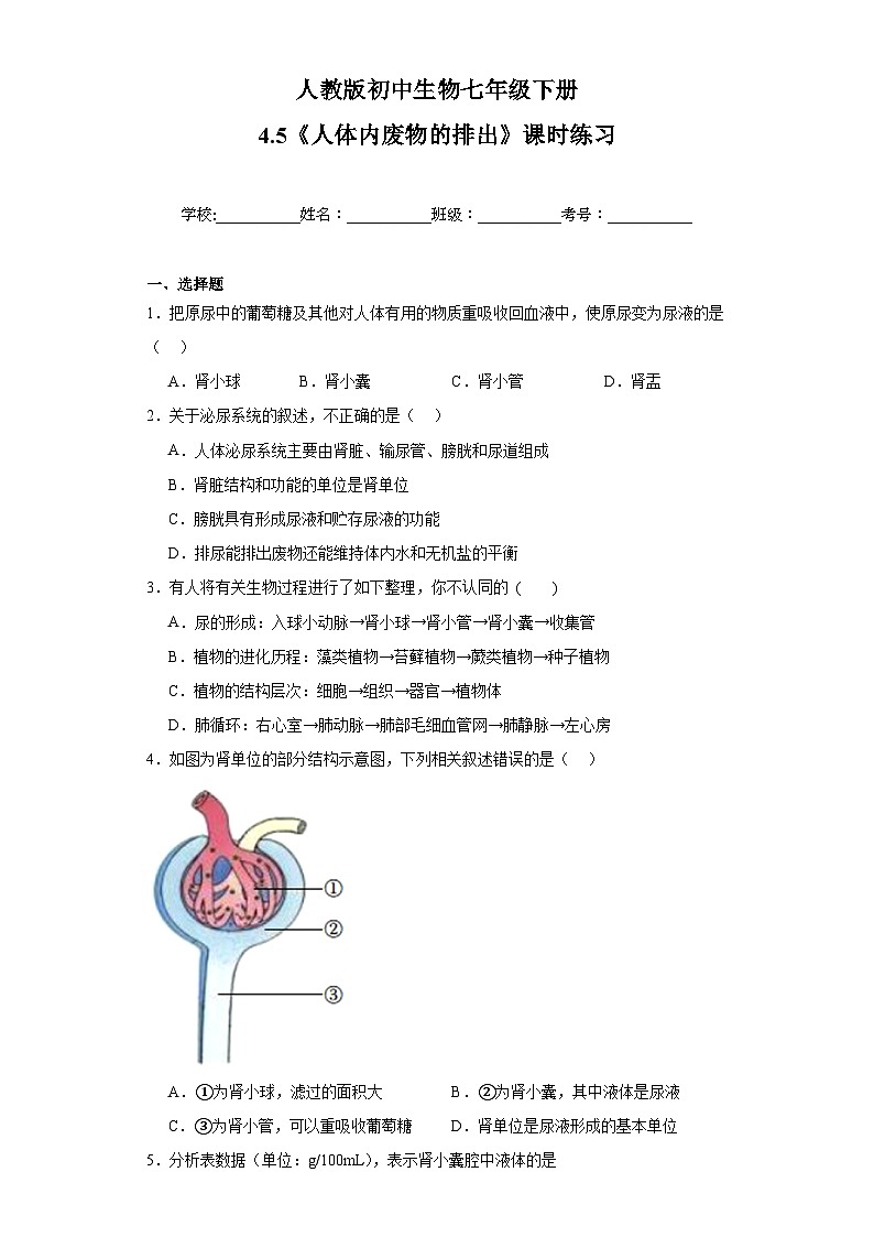【核心素养】人教版初中生物七年级下册4.5《人体内废物的排出》课件＋课时练习＋教案（含教学反思）01