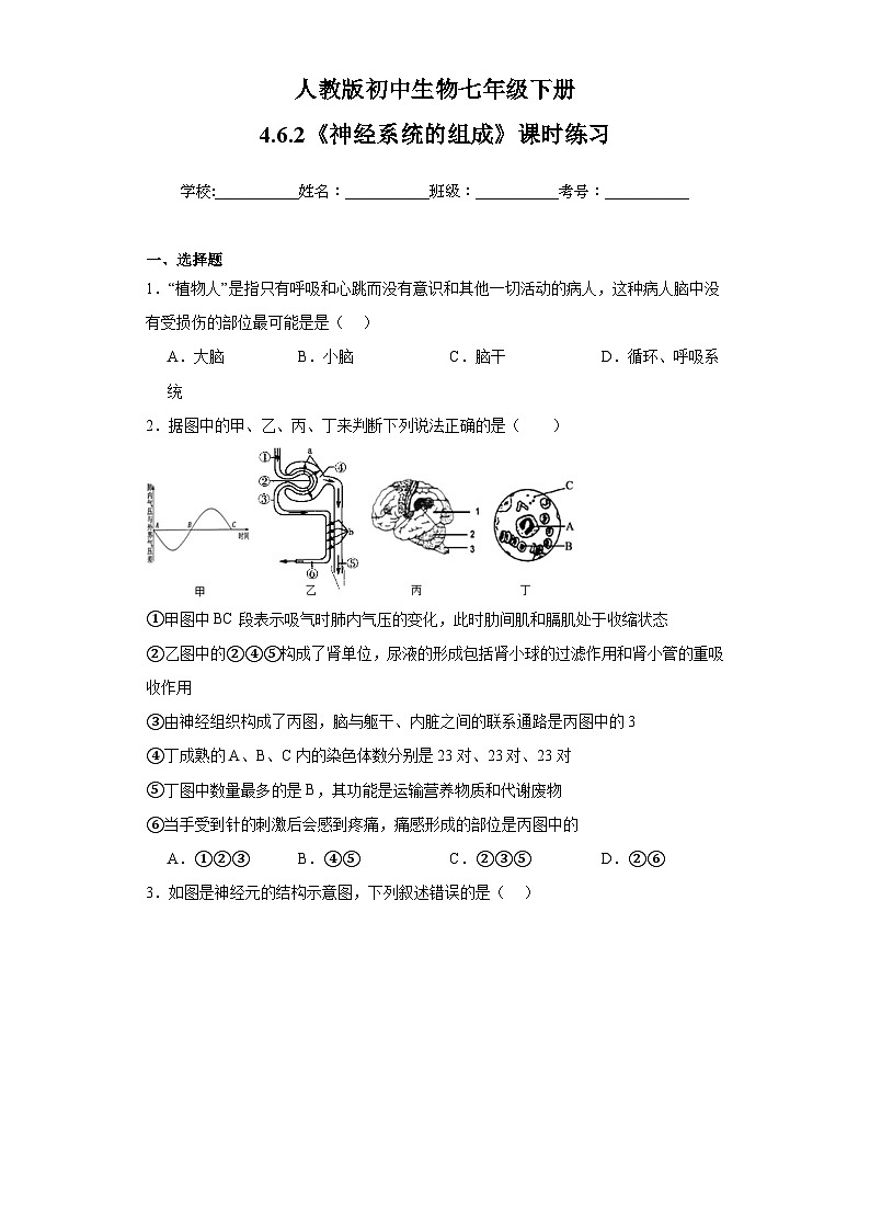 人教版初中生物七年级下册4.6.2《神经系统的组成》课时练习第1页