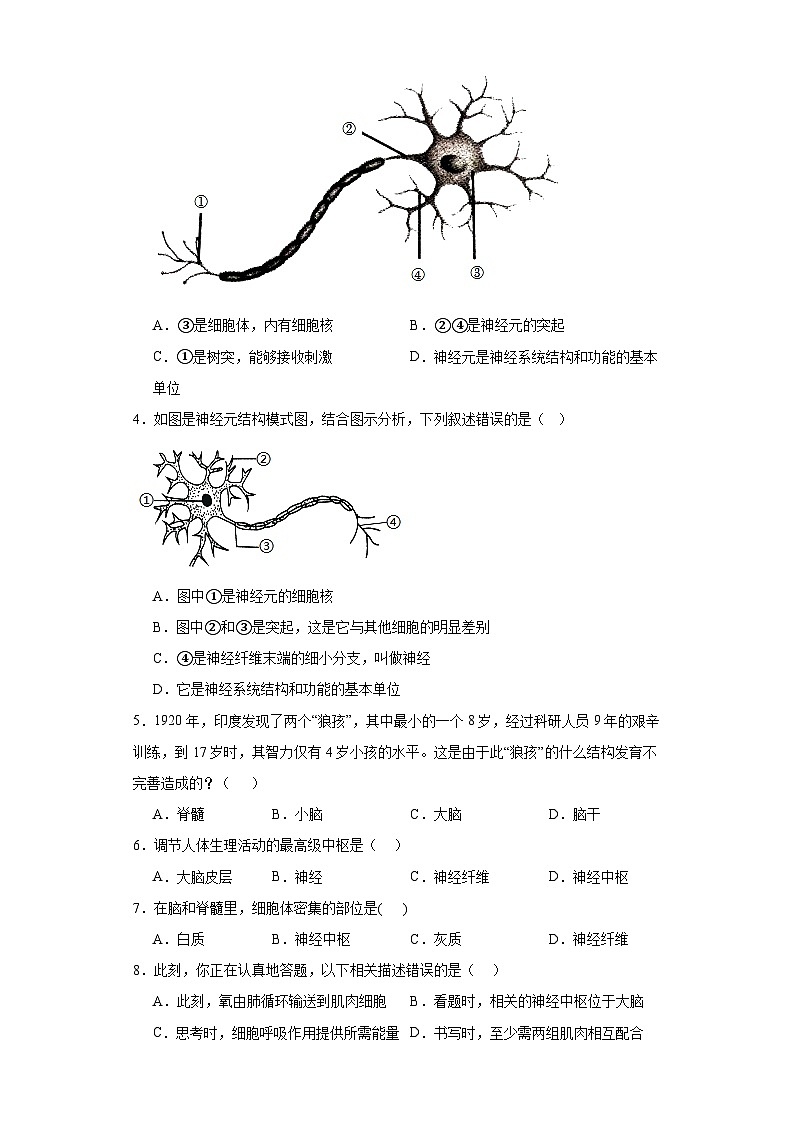 人教版初中生物七年级下册4.6.2《神经系统的组成》课时练习第2页