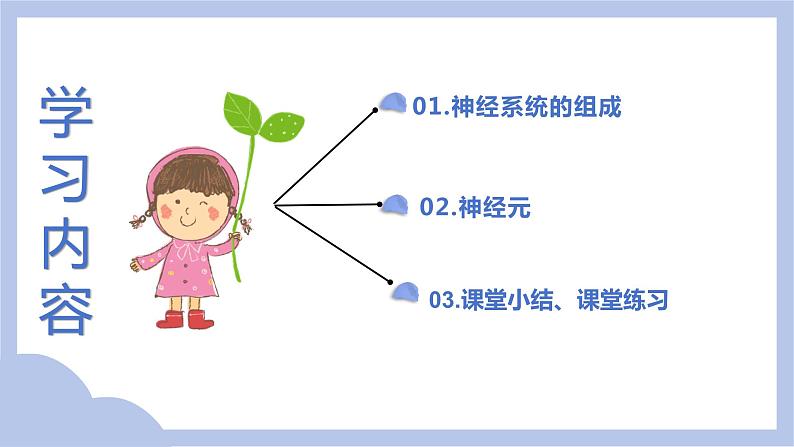 【核心素养】人教版初中生物七年级下册4.6.2《神经系统的组成》课件第3页