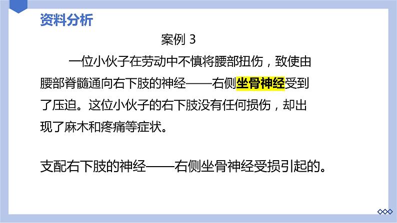 【核心素养】人教版初中生物七年级下册4.6.2《神经系统的组成》课件第7页