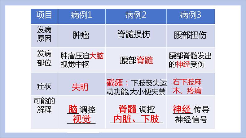 【核心素养】人教版初中生物七年级下册4.6.2《神经系统的组成》课件第8页