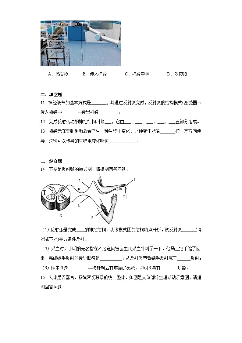 人教版初中生物七年级下册4.6.3《神经调节的基本方式》课时练习第3页