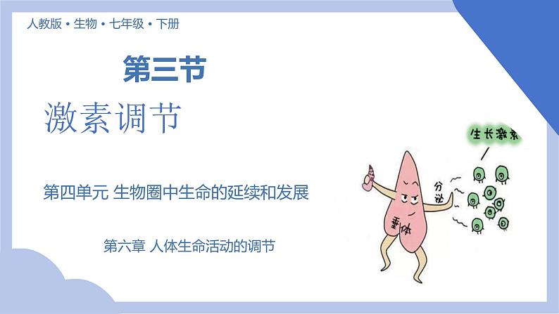 【核心素养】人教版初中生物七年级下册4.6.4《激素调节》课件第1页