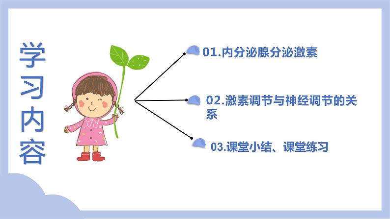 【核心素养】人教版初中生物七年级下册4.6.4《激素调节》课件第3页