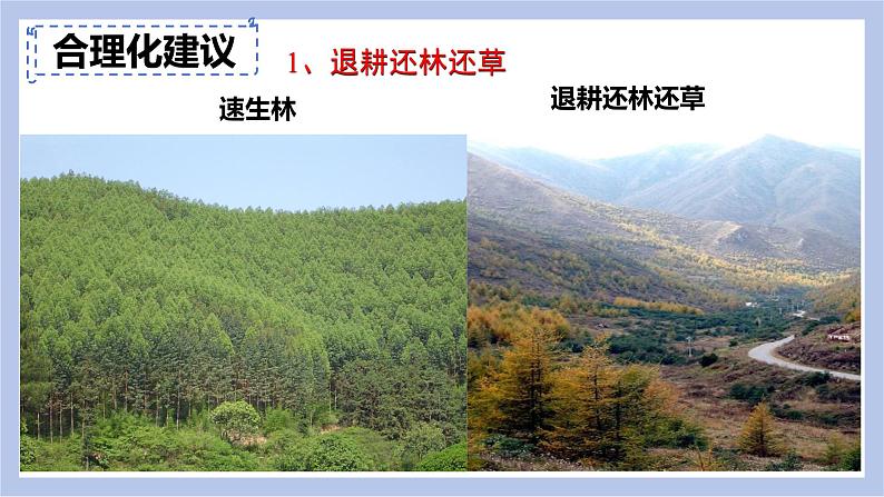 【核心素养】人教版初中生物七年级下册4.7.3《拟定保护生态环境的计划》课件第7页