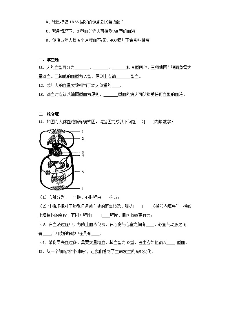 人教版初中生物七年级下册4.4.4《输血与血型》课时练习第2页