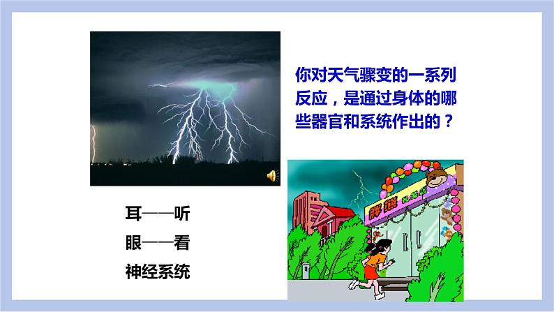 【核心素养】人教版初中生物七年级下册4.6.1《人体对外界的感知》课件第5页