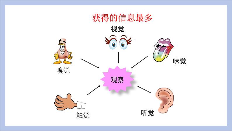 【核心素养】人教版初中生物七年级下册4.6.1《人体对外界的感知》课件第6页