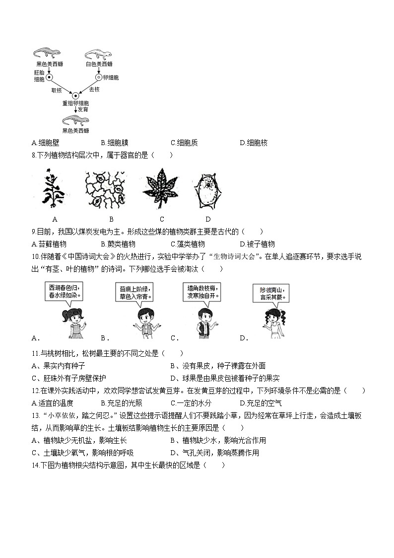 河南省新乡市牧野区河南师范大学附属中学2023-2024学年七年级上学期期末生物试题02