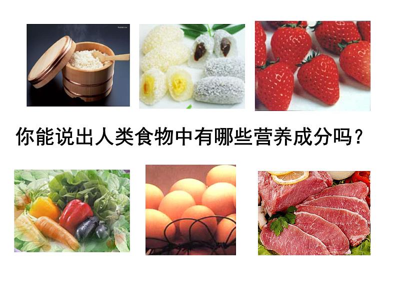 8.1.1人类的食物课件2023--2024学年北师大版生物七年级下册第1页