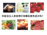 8.1.1人类的食物课件2023--2024学年北师大版生物七年级下册